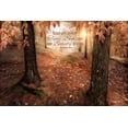 thumbnail image 2 of Vieira, Robin-Lee 24x17 Black Ornate Wood Framed with Double Matting Museum Art Print Titled - Natures Gift, 2 of 4