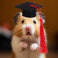 Clean Live Hogs PBPBOX Versatile Black Graduation Cap for Hamsters Guinea Pigs ...