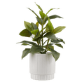 thumbnail image 1 of Bouclair Green Artificial Plant in Striped Pot, 1 of 3