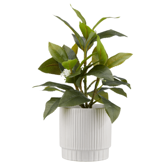 Bouclair Green Artificial Plant in Striped Pot