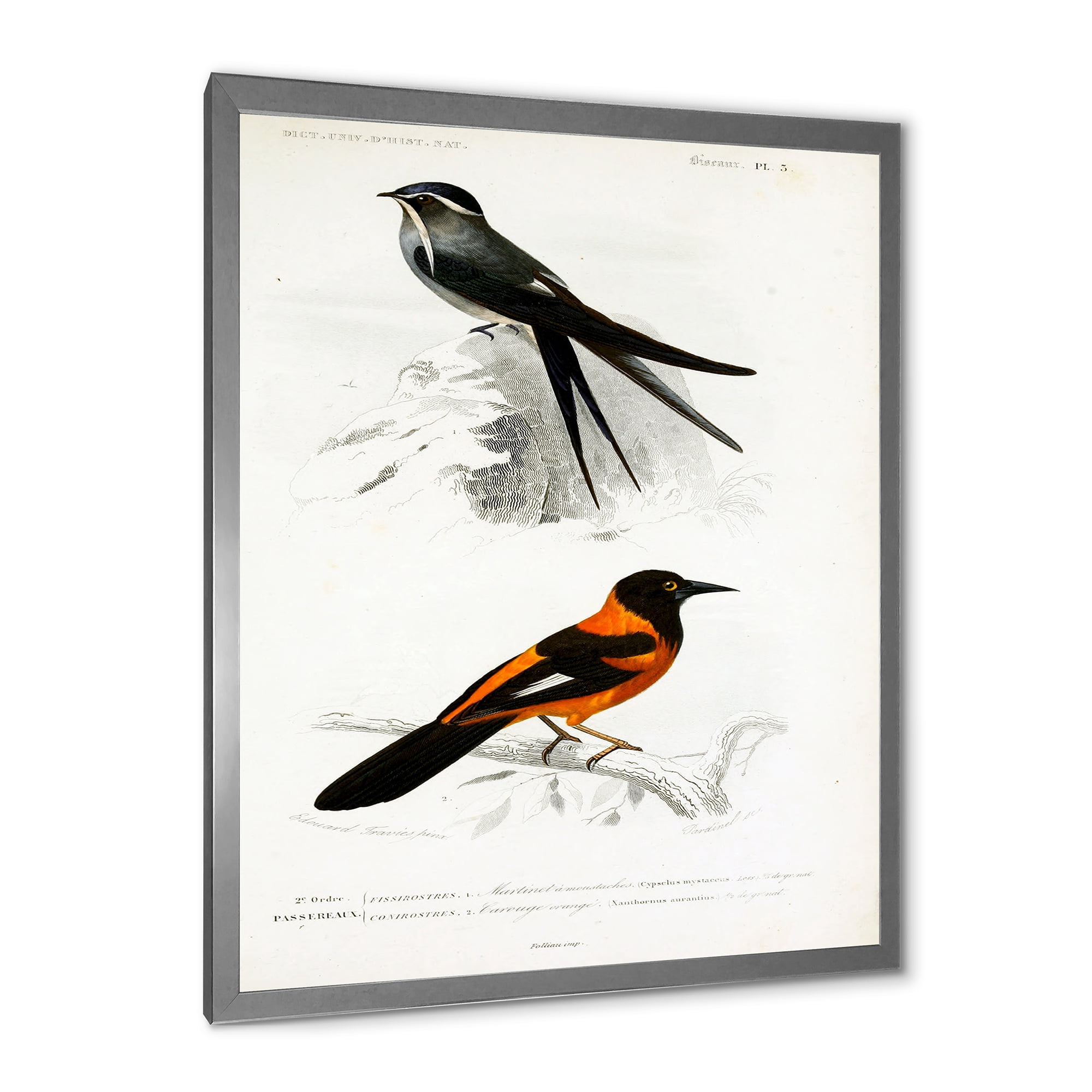 Designart 'Ancient Bird II' Traditional Framed Art Print