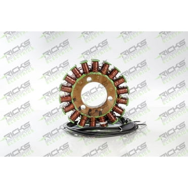 Ricks Motorsport Electric - 21-309 - Stator