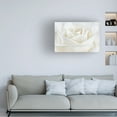 thumbnail image 2 of Trademark Fine Art Cora Niele Pure White Rose Canvas Wall Art - 30x47, 2 of 5