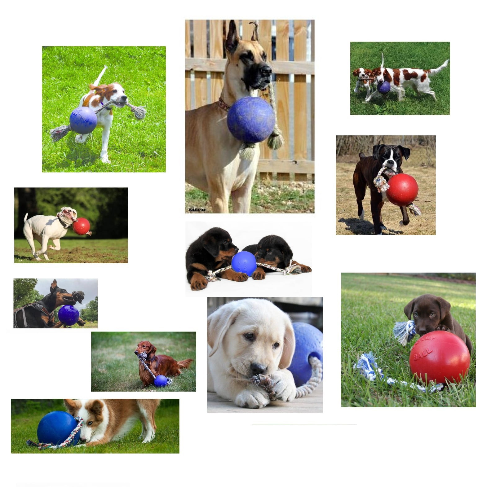 Floating Interactive Rope Dog Horse Toys Romp and Roll Dog Water Tug (Medium - Purple)