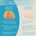 thumbnail image 2 of Caribbean Silk Natural Face Cleansing Sponge, Gentle on All Skin Types for Kids & Adult, 1 pc by LatherGreen, 2 of 6