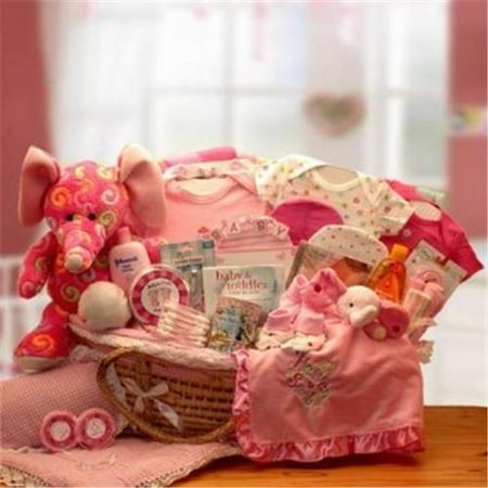 Gift Basket 890431-B Precious Petals Deluxe Moses Carrier - Blue