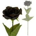 thumbnail image 1 of Alchemy Gothic ROSE1 - Black Imitation Rose  -Roses, 1 of 1