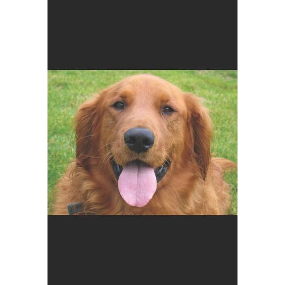 My Dog: Is My Best Friend (Paperback)