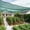 40% SHADE-GREEN, variant on 85-95% Sun Shade Cloth, 20 x 48 FT Green HDPE Mesh – Breathable Garden Shade Cover for Plants, Vegetables, Greenhouse, Patio, Chicken Coop & Dog Kennel