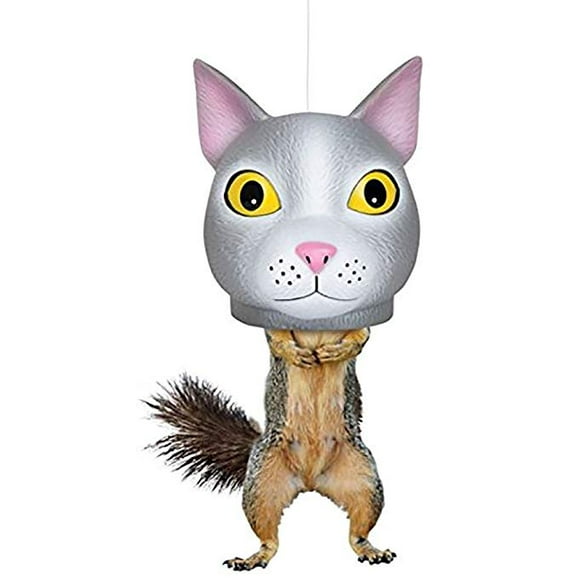 Mangeoire pour Écureuil Tête de Chat