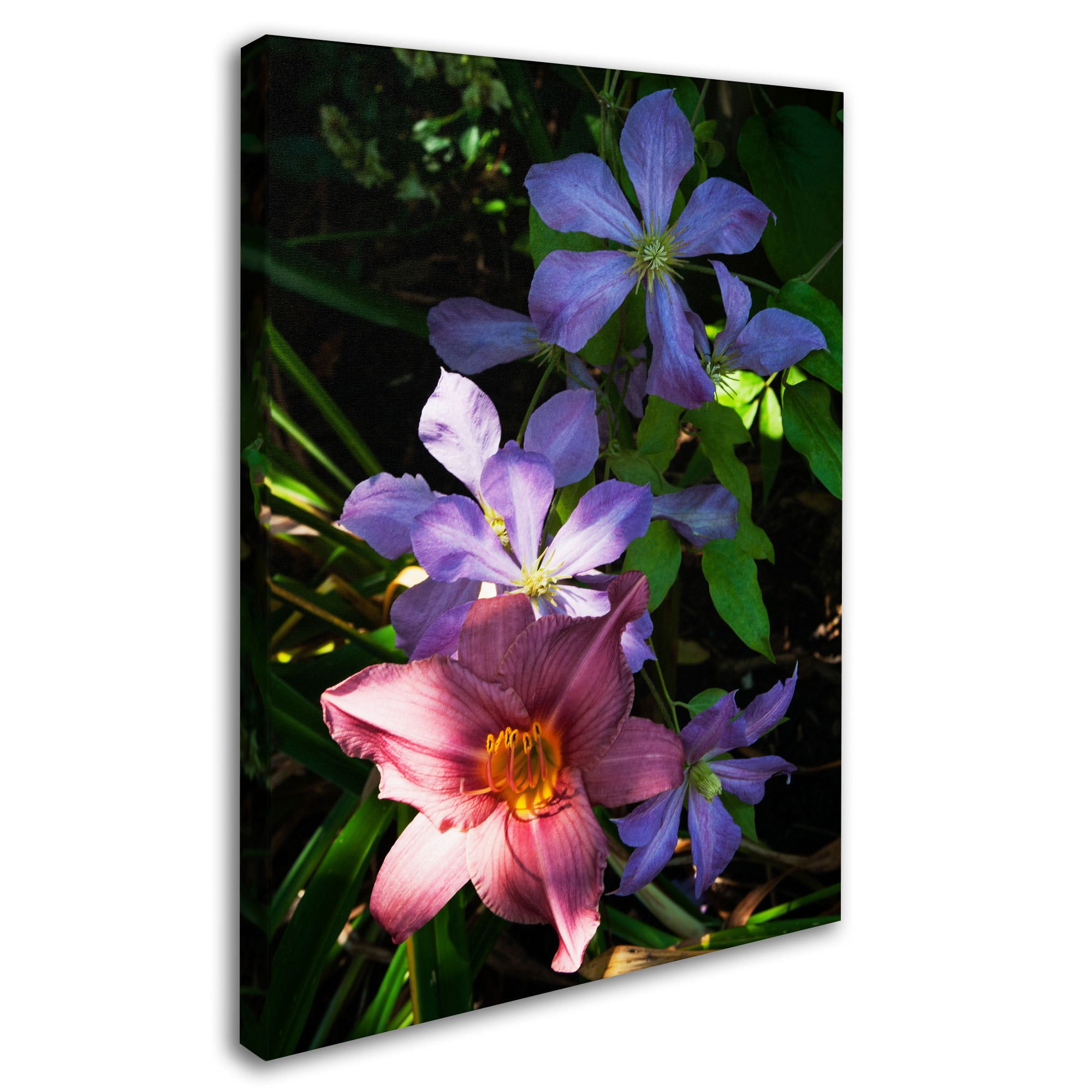Clematis and Lily by Kurt Shaffer Black Frame 11x14-Inch 