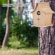 thumbnail image 5 of Casa de Aves Duradera, comedero para pájaros, Loros de 17 x 14 x 12 cm, periodista para varías aves pequeñas regalos o mascota observación fácil, 5 of 7