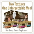 thumbnail image 5 of (4 pack) Purina Fancy Feast Savory Centers With Salmon Wet Cat Food Pate with Gourmet Gravy Center, 5 of 8