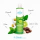 thumbnail image 5 of Sheló NABEL Shampoo de Bergamota 530 ml para Cabello Graso, 5 of 8