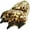 Brown Leopard, variant on NORTY Unisex Adult Big Kid Little Kid Toddler Slip on Cozy Plush Animal Claw Paw Slippers