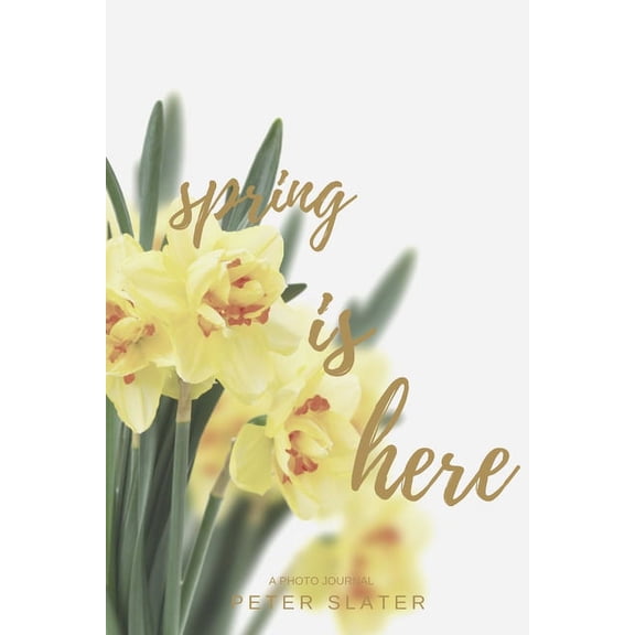 Spring is here (Paperback)
