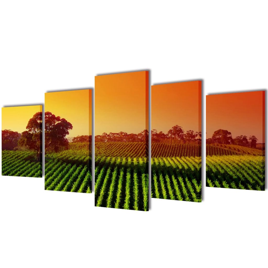 Set field