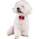 thumbnail image 4 of Pajarita de algodón Perro Gato, Cachorro Collar formal Pajarita Collar Nudo ajustable, Mariposa para fiesta de boda, 4 of 5
