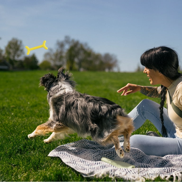 Earth Rated Retriever Dog Toy, Floating Yellow Fetch Stick photo 5
