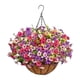 thumbnail image 1 of Cesta colgante de flores artificiales DIY, maceta con cadena para balcón, exterior e interior. A, 1 of 9