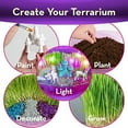 Bryte Unicorn Terrarium Kit for Kids Complete with Fairy Garden Lights