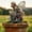 #2, variant on Uiz Merueh Garden Statues Flower Fairy Garden Decor,Garden Fairy Statues Outdoor,Powered Outdoor Fairy Figurine Accessories,Patio Lawn Yard Porch, Ornaments for Outside Gifts