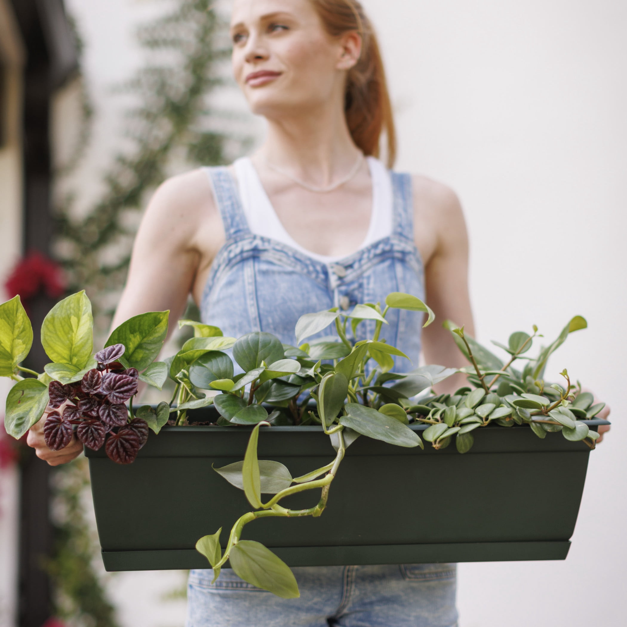 Bloem Dayton 24" Plastic Window Box Planter with Saucer Tray: 100% Recycled Plastic, for Window Sill & Ledge, Turtle Green