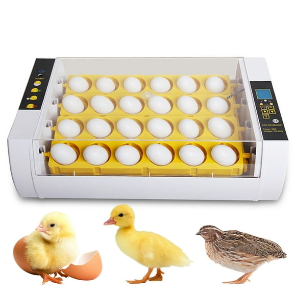 Eggs Incubator,Temperature And Display Incubator Duck With 24 Candler Duck With Chick Cozy Chicken Quail And Candler Temperature Incubator Incubator With And Cozy Duck Incubator