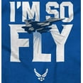 thumbnail image 2 of US Air Force I'm So Fly Funny USAF Sweatshirt for Men or Women Brisco Brands S, 2 of 6