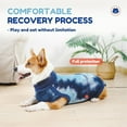 thumbnail image 5 of HQREA Breathable Dog Recovery Suit for Male/Female, Cone E-Collar Alternative After Surgery, 5 of 6
