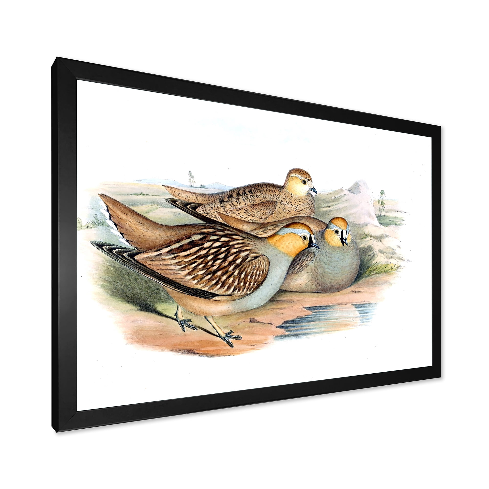 Designart 'Ancient Birds In The Wild III' Traditional Framed Art Print