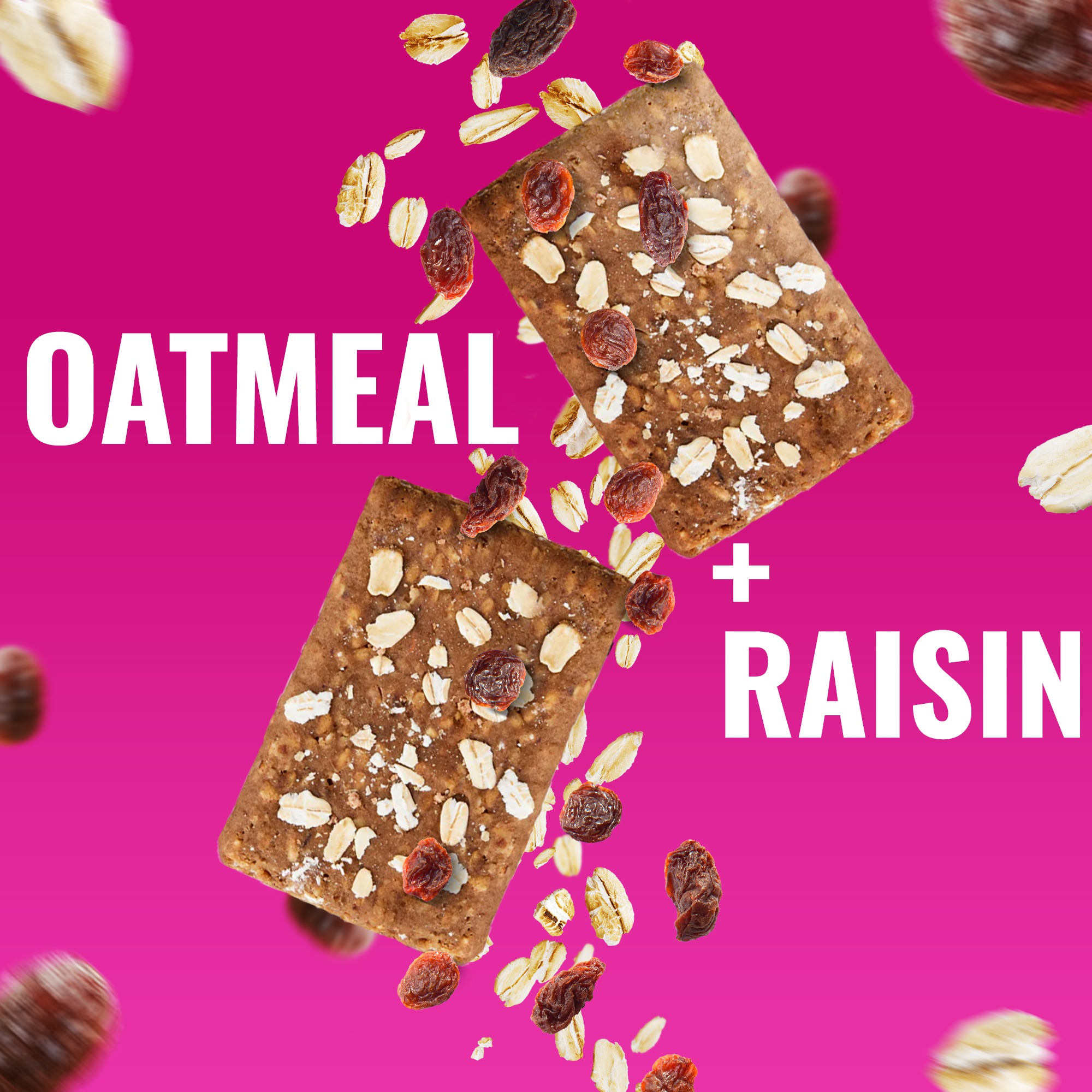 The Gluten Free Brothers – Oatmeal Raisin Snack Bars – Non GMO, Soy Free, Vegan – 2.05 oz (12 ct)