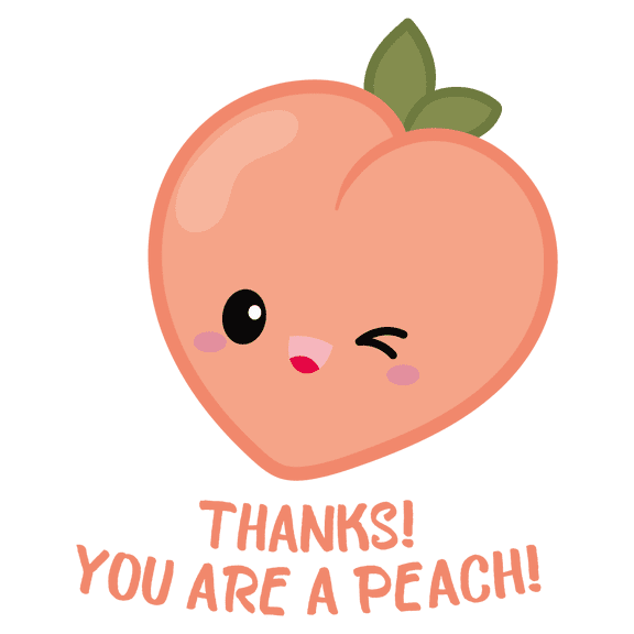 Thanks You are a Peach Funny Pun Artwork Design for Living Room Vinyl Wall Decal - Happy Fruit Winking and Smiling Over a Hilarious Saying Art for Kid's Bedroom Wall Decoration - 20" x 25"