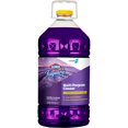 thumbnail image 1 of Limpiador Multiusos CloroxPro Fraganzia Lavanda 5,17 L, 1 of 9