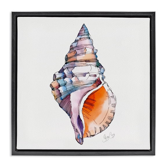 Stupell Industries Coastal Sunrise Conch Shell Black Floating Frame Canvas Art, 18 x 18, by Shelly Craig