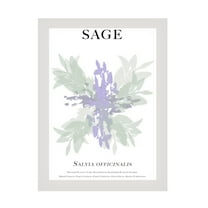 Trademark Fine Art Cartissi Sage Canvas Wall Art