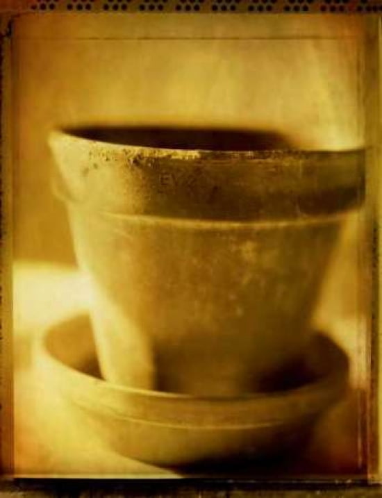 Terracotta Pots I C