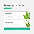 thumbnail image 4 of Set de cuidado capilar HASK Tea Tree Revitalizing Dry Shampoo x2, 4 of 9