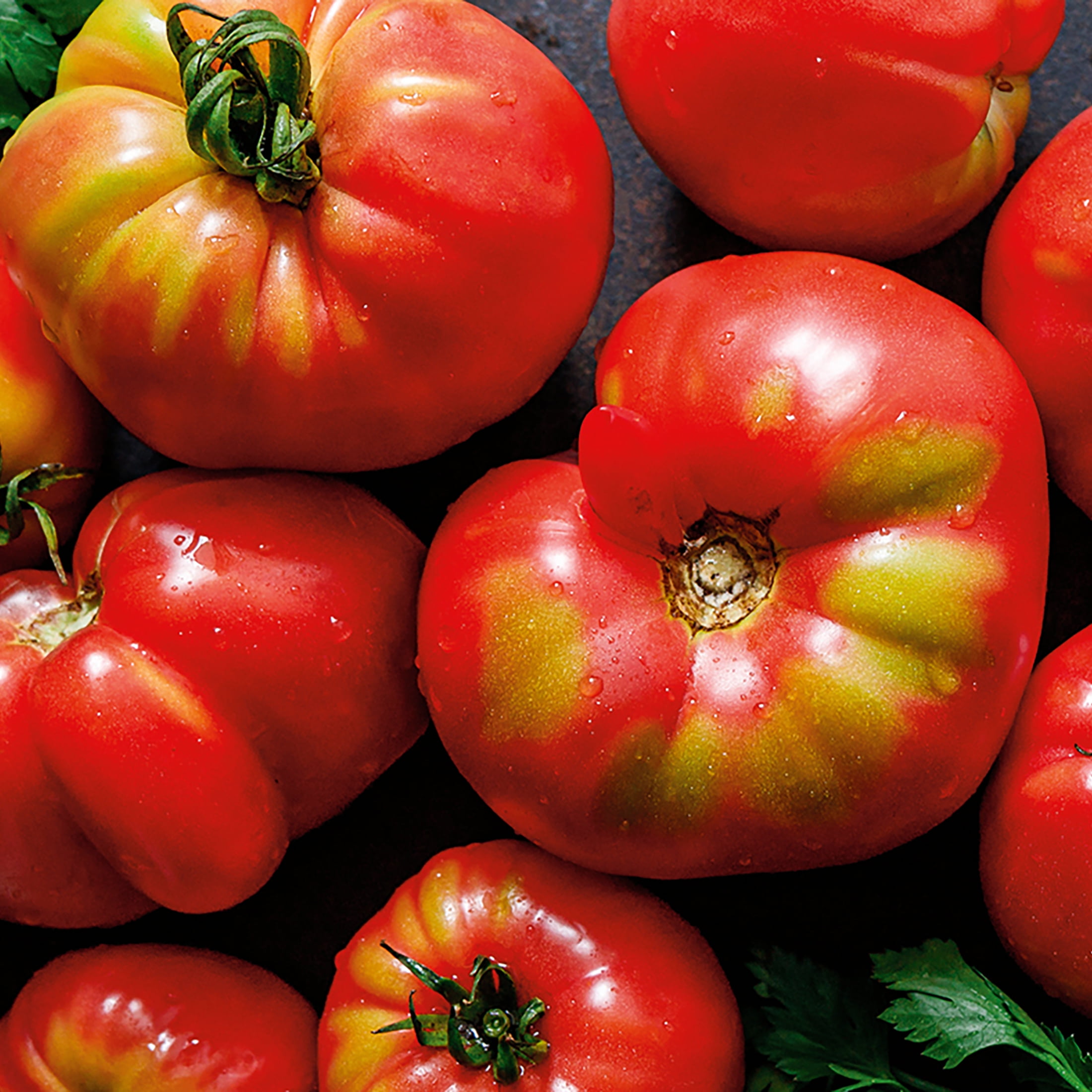 100 Pink Brandywine Tomato Seeds Organic Heirloom – The Gardening World