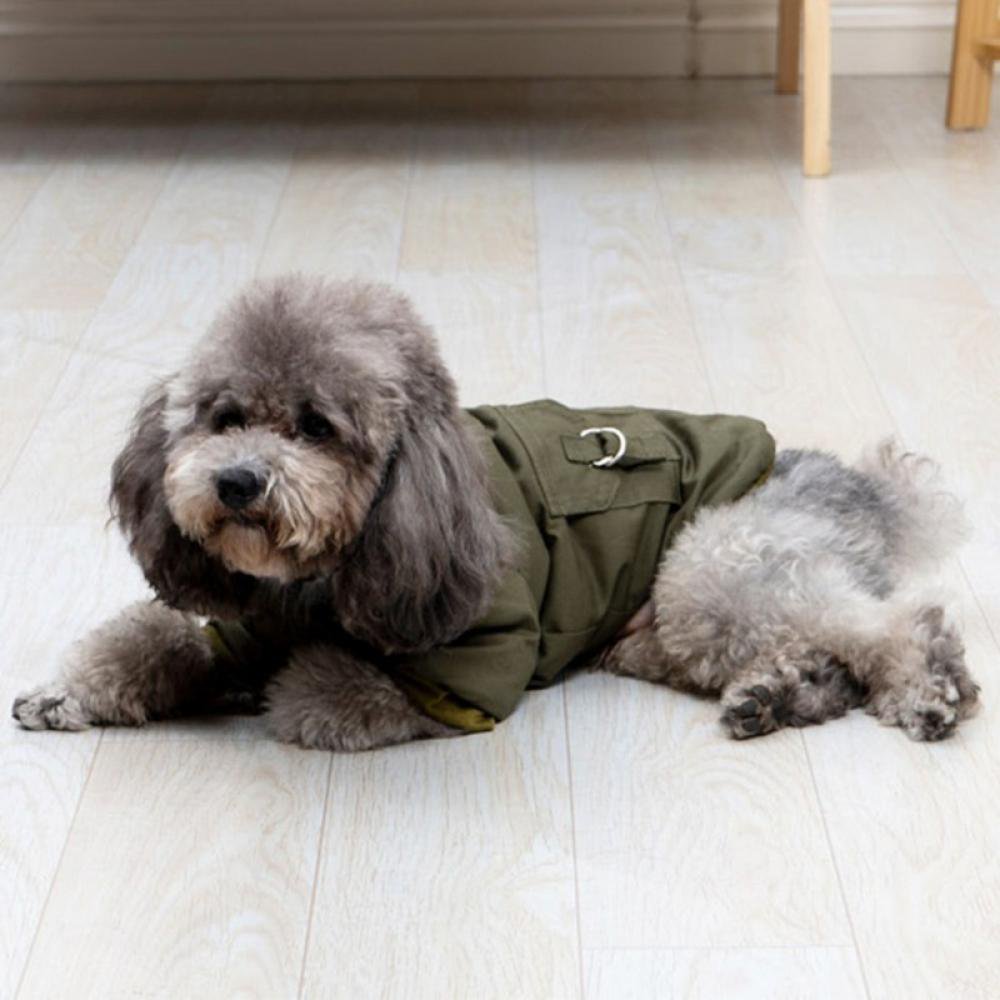Pull Pour Chien D'hiver - Polyester Doux, Lavable, Tailles M à 2XL, Pour Bouledogue, Teckel, Chihuahua - Chaud Et Confortable