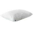 thumbnail image 3 of Sealy Luxe Support Quilted Soft Cotton Cover Feather-Filled, 3 of 8