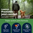 thumbnail image 4 of (5 pack) Vetnique YuMOVE Vet Strength Hip & Joint Supplement for Dogs with Glucosamine, Seafood Flavor, 60ct Soft Chews, 4 of 12