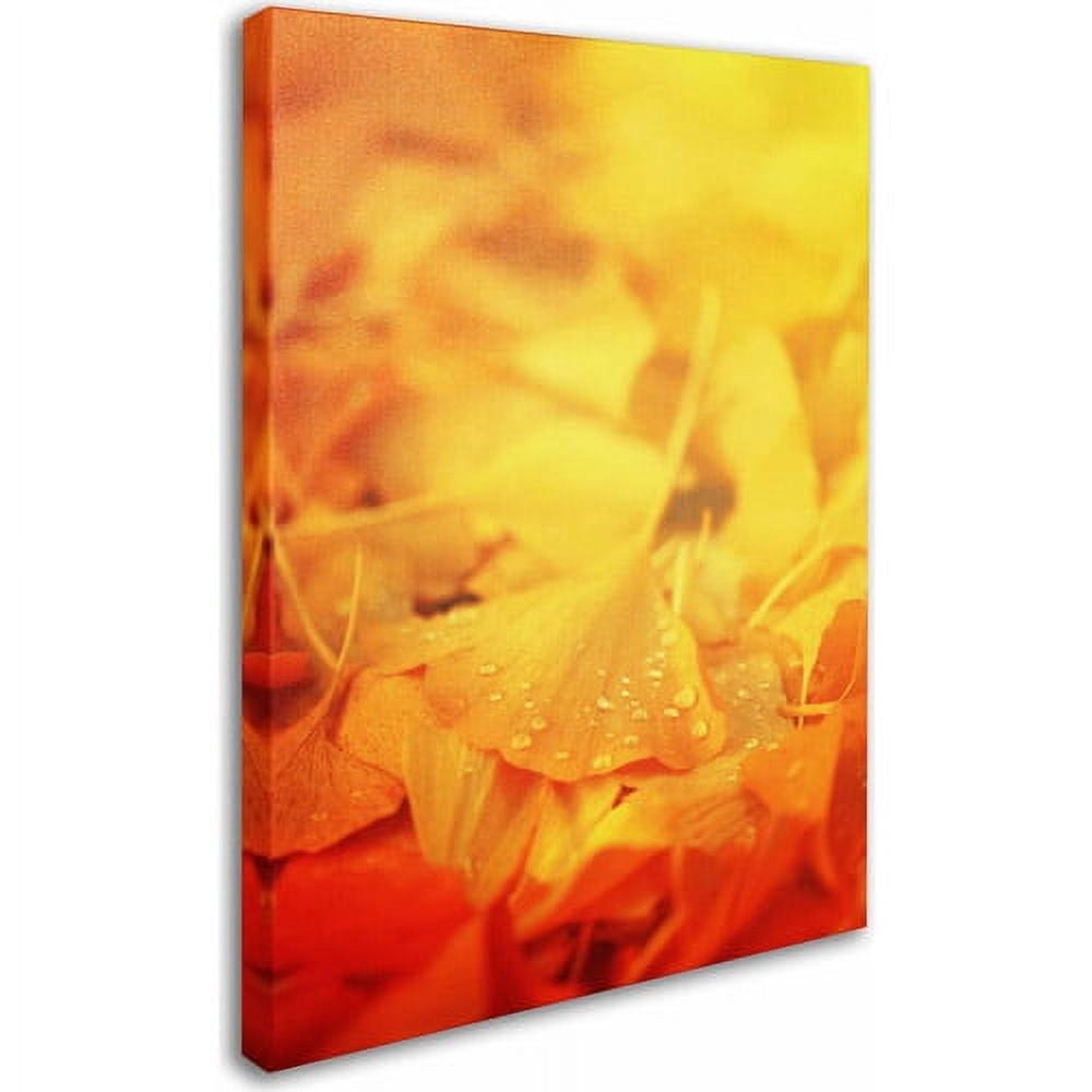 Trademark Fine Art "Thinking Bubble" Canvas Art by Philippe Sainte-Laudy