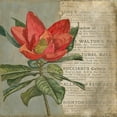 thumbnail image 3 of Meagher, Megan 12x12 Black Modern Framed Museum Art Print Titled - Vintage Fleur Rouge I, 3 of 5