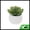 Plant Type 6, variant on Unique Bargains Fake Succulent Plant Office Desk Decor Accessories Plant Type 2