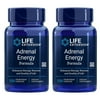 Life Extension Adrenal Energy Formula - Help Support Healthy Response & Stress Management Supplements - 120 Count (2-Pack)
