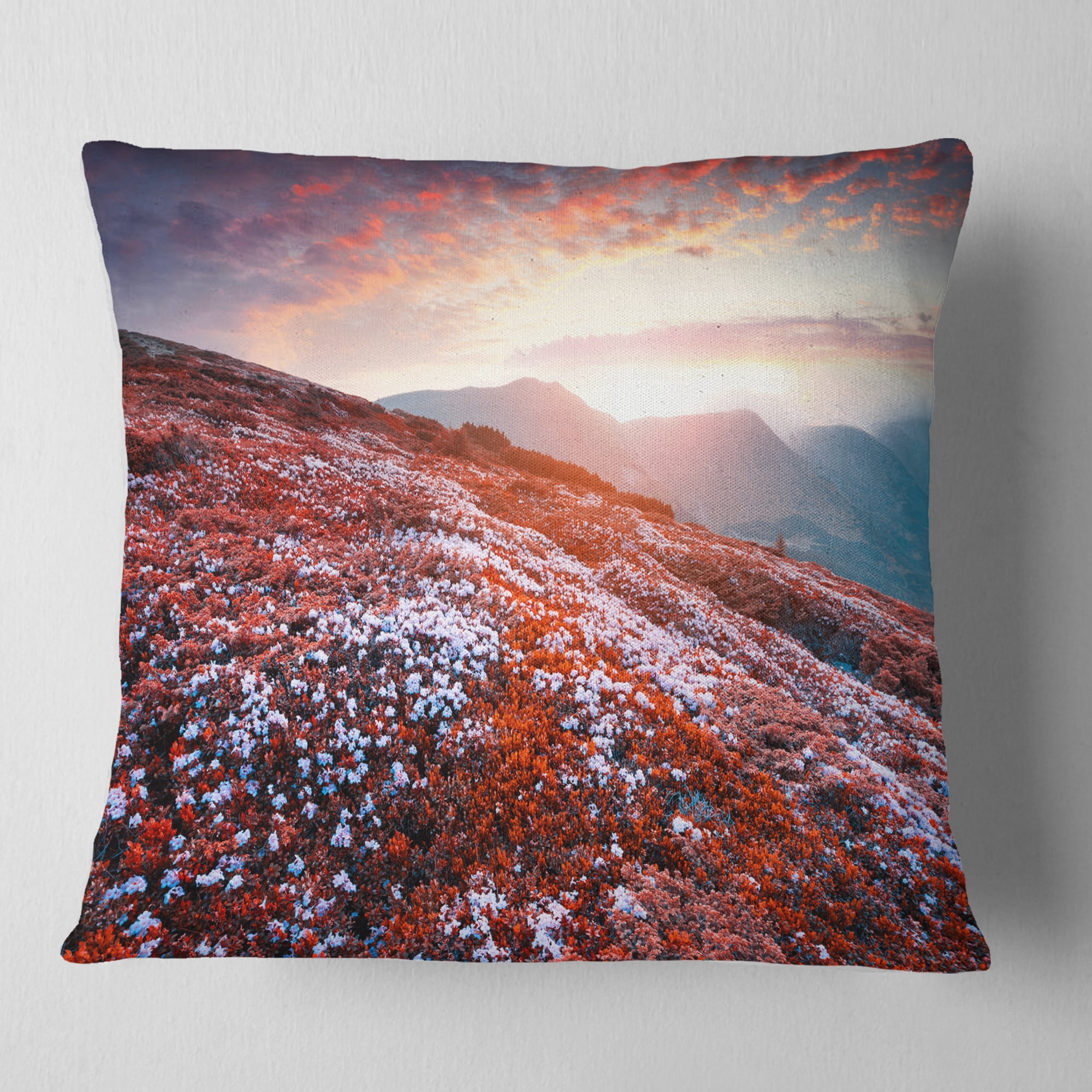 Designart Blooming Fields in Carpathian - Landscape Photo Throw Pillow - 16x16