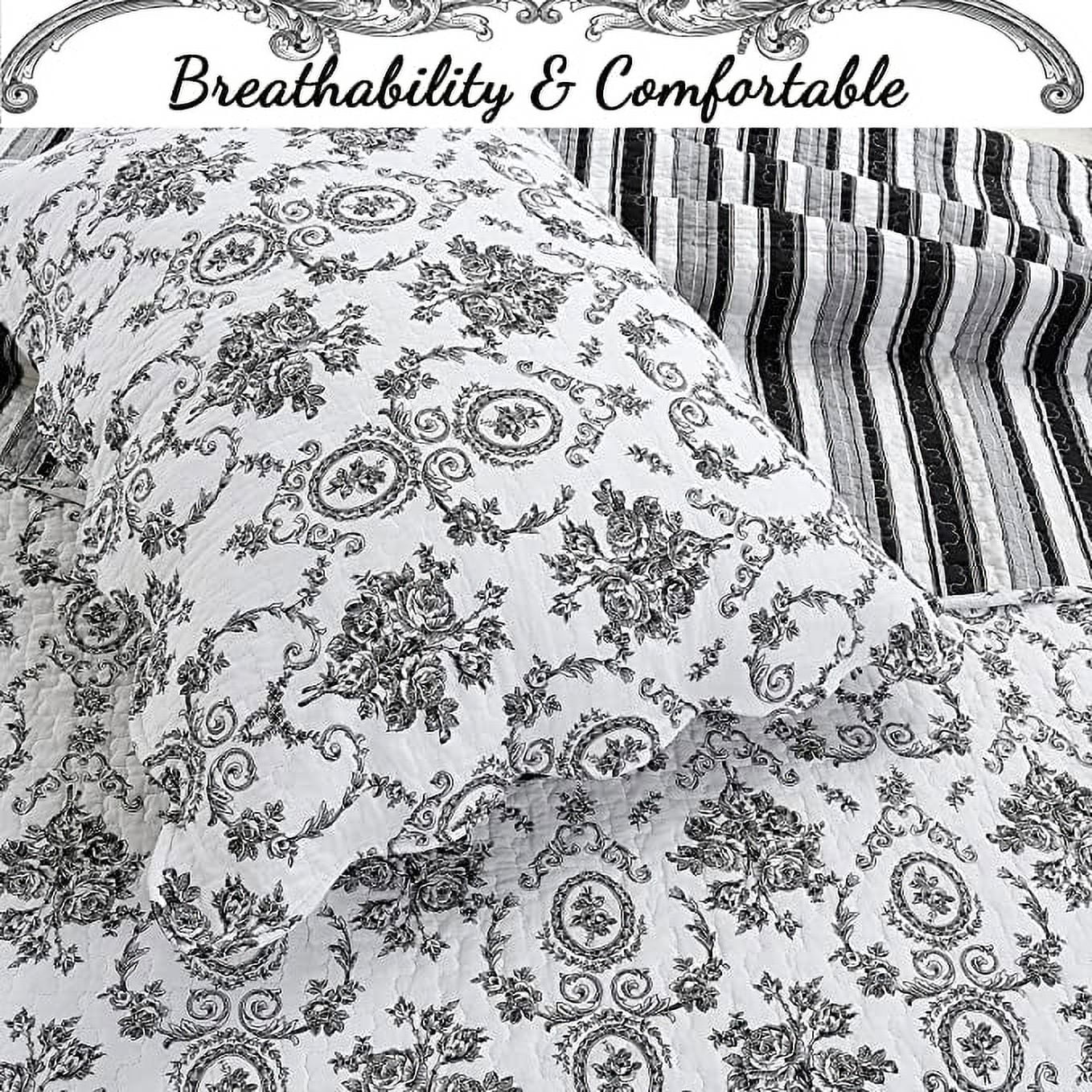 Cozy Line French Medallion Toile Black Reversible 100% Cotton 3-Piece Quilt Set, Queen Set