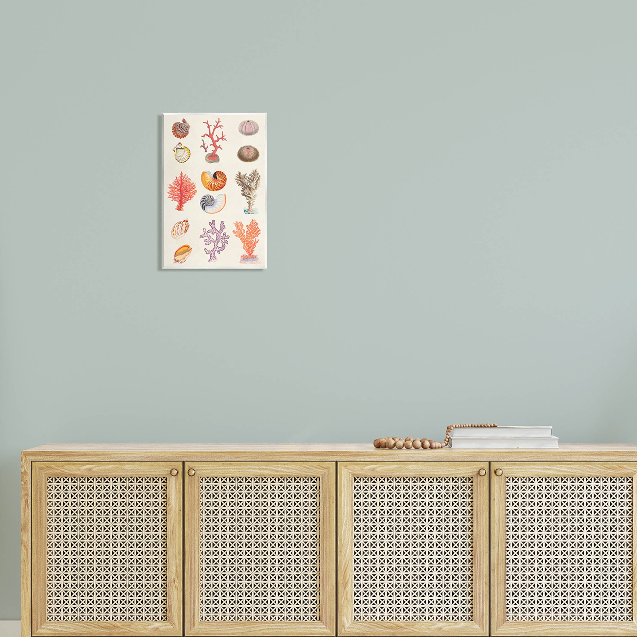 Stupell Industries Various Sea Life Nautical Latin Study Graphic Art Unframed Art Print Wall Art, Design by Vision Studio