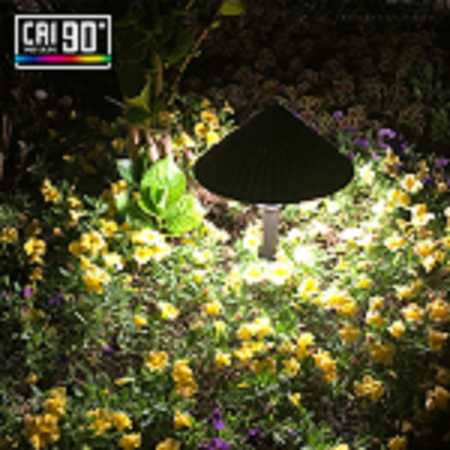 8 Pack Low Voltage Landscape Lighting, AC/DC 12-24V, Waterproof Aluminum, Outdoor LED Pathway Lights, Cool White